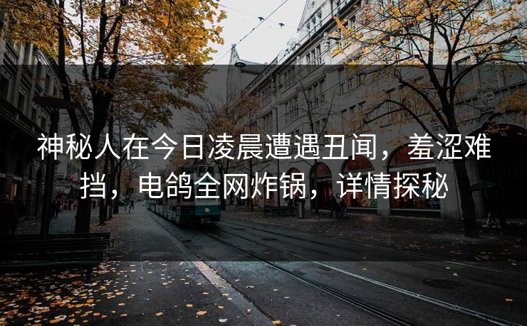 神秘人在今日凌晨遭遇丑闻，羞涩难挡，电鸽全网炸锅，详情探秘